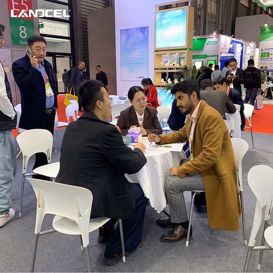 Heißverkauftes CMC-Carboxymethylcellulosenatrium in Keramikqualität